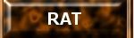 Rat